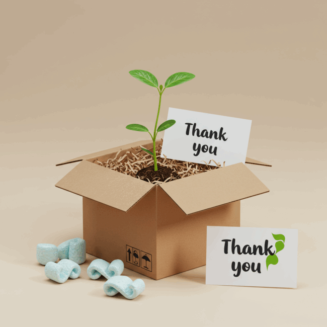 Crafting a Greener Future: Sustainable Packaging for Your Shopify Store